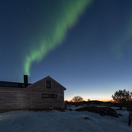 Koselig Bolig I Lofoten / Vesteralen Stronstad i Vesteralen Exteriör bild
